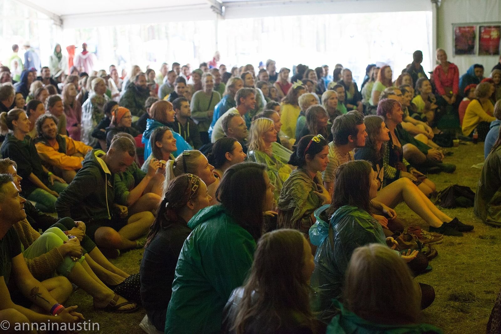 Tribute music festival crowd (2014)
