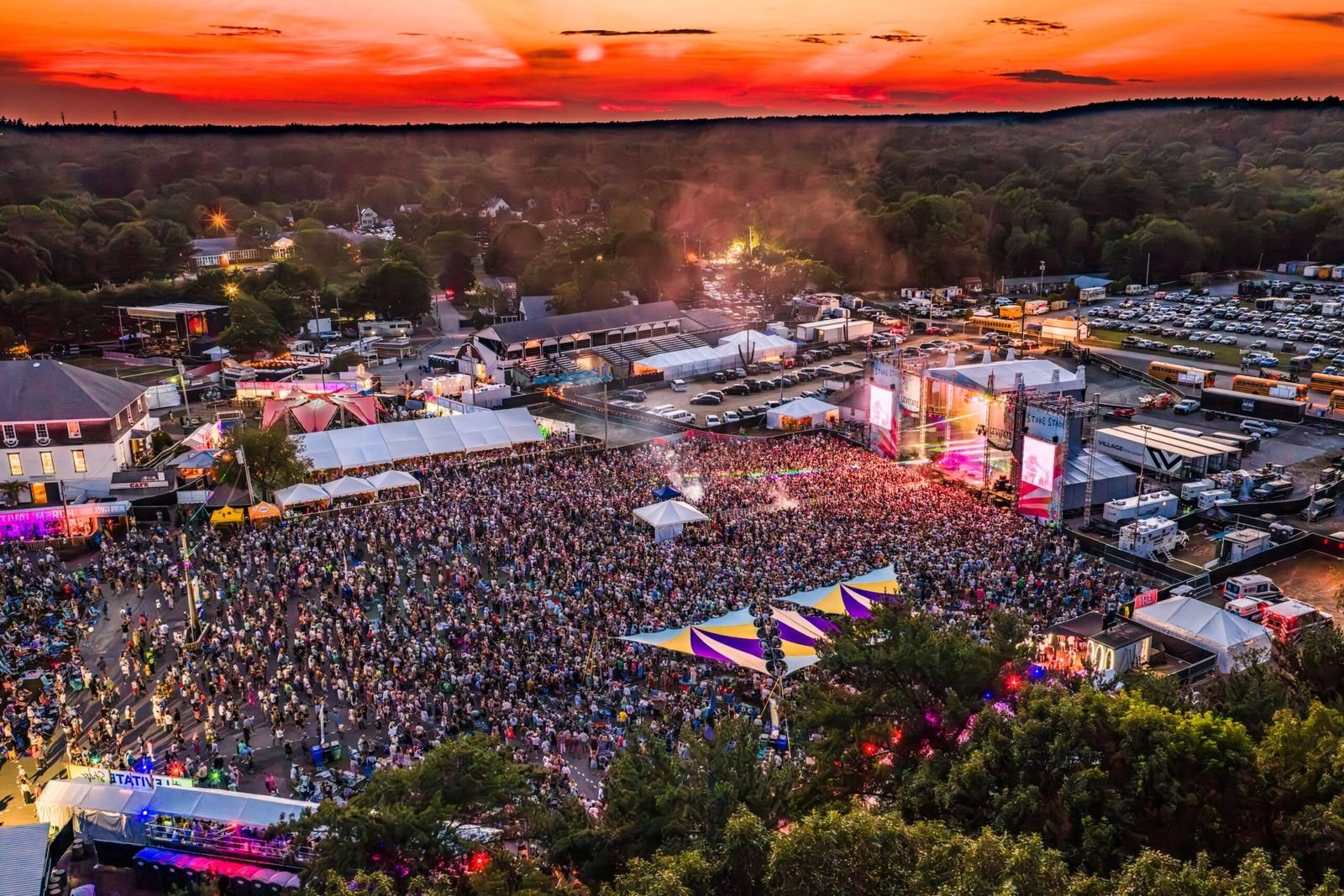 Levitate Music & Arts Festival — official poster and event artwork